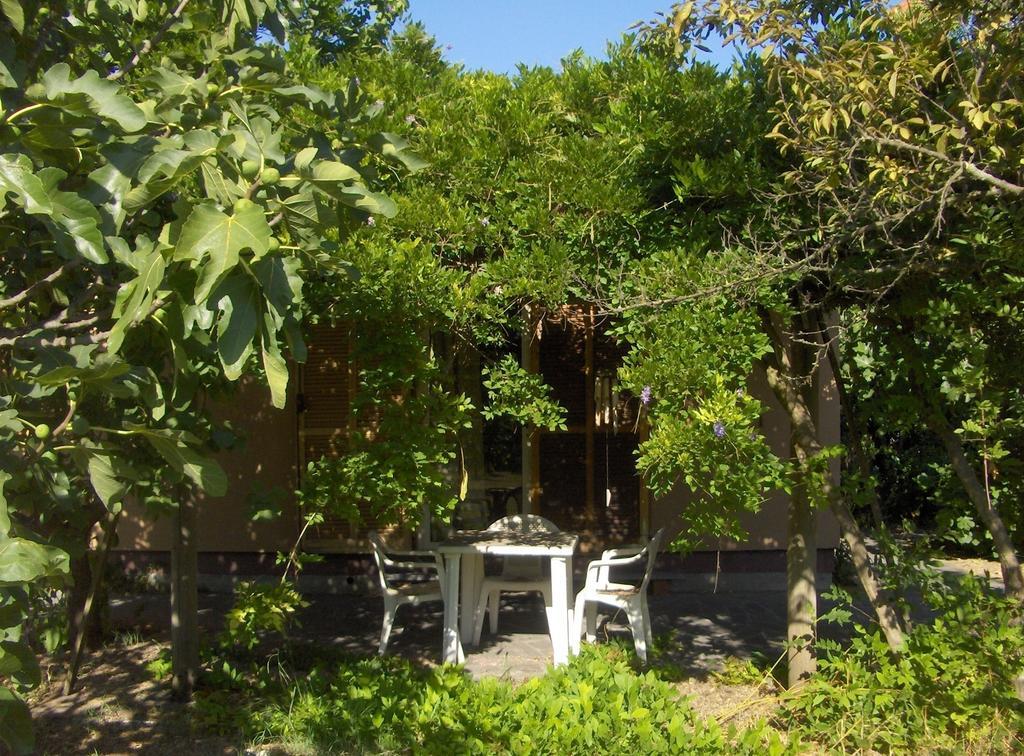 Appartamenti Le Navi Antiche - Hituscany Pisa Exterior foto
